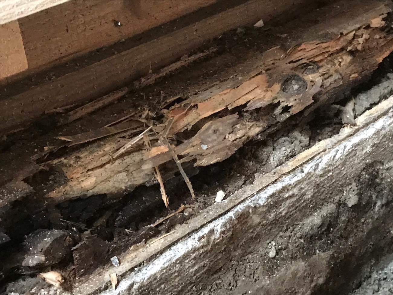 ウッドデッキベランダ メンテナンス