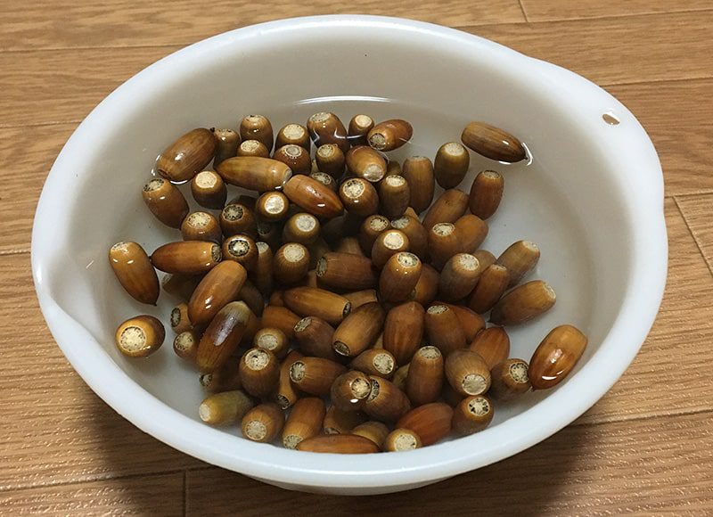 どんぐりを食べてみませんか？ デトックス効果抜群のスーパーフードは、縄文の味！ 季節・暮らしの話題 2015年11月02日- 日本気象協会tenki.jp