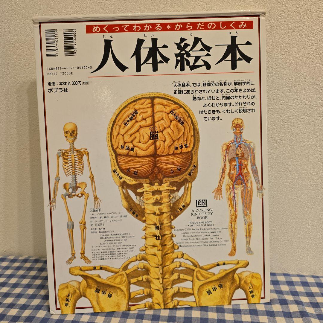 「ポップアップ人体えほん」人体絵本