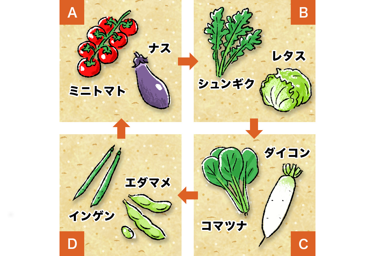 初心者向け！ プランターで種から野菜を育てる基本の流れおすすめの夏野菜7選つき切るを楽しむアルスコーポレーション株式会社
