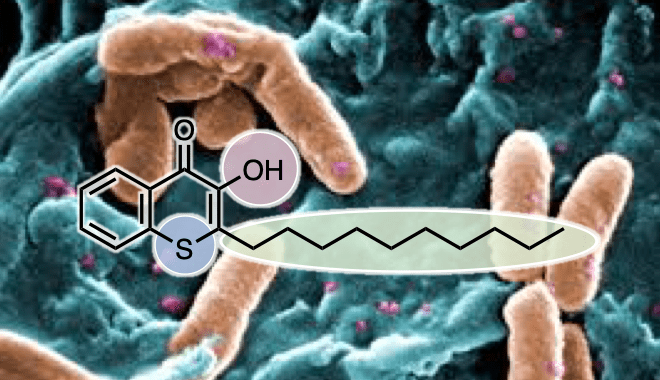 こんな症例が治ります シリーズ １３４犬の緑膿菌性中耳炎も 的確な治療で治します。大和市のCT完備の動物病院湘北どうぶつ次世代医療センター・ＣＴセンタ