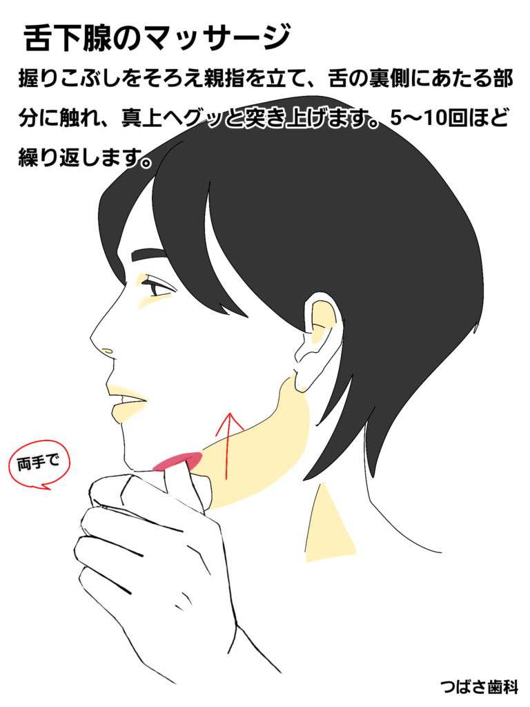 唾液腺マッサージの効果は？やまのうち歯科医院宇都宮市の歯医者。歯周病専門医、歯科用CT完備