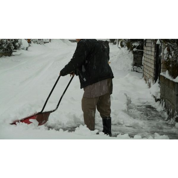 ママさんダンプ その他の中古が安い!激安で譲ります・無料であげますジモティ