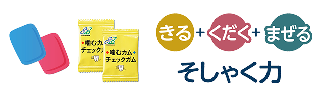 軽減8% キシリの力 噛む噛むスルメの通販Ciモール 幼稚園・保育園Ciモール