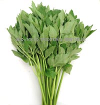 Amazon自然健康社 明日葉粉末 100g×3個 サプリ 八丈島産 国産 あしたば茶 無添加 青汁 パウダー自然健康社青汁