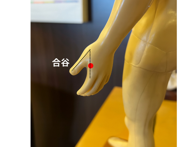 雨がふる前の頭痛・めまい 「天気痛」にはこのツボを刺激し自律神経の乱れを防いでみるみる健康に!お知らせ交通事故治療 整形外科病院ふじた医院病院・介護ナビ milmil