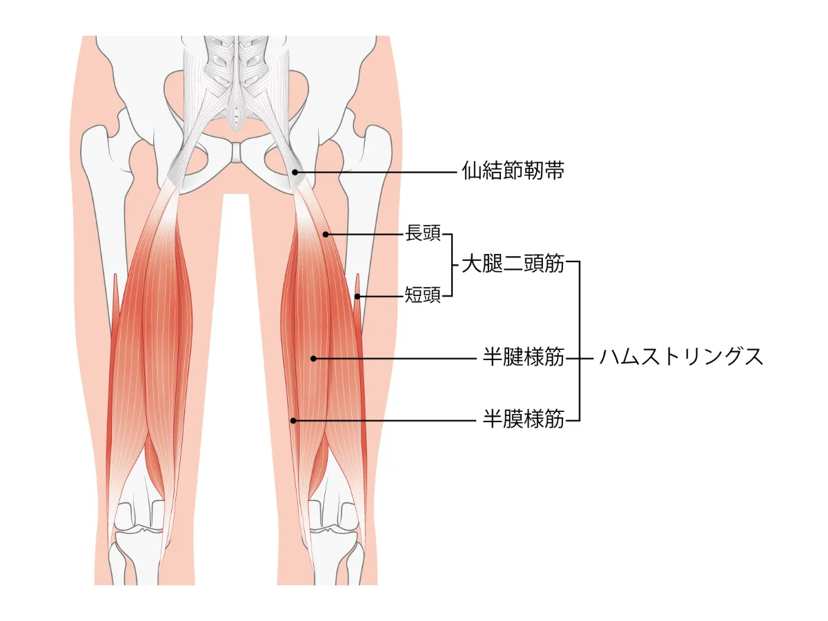 太ももの脂肪吸引の痛みはいつまで続く？痛みのピークと術後の症状について解説