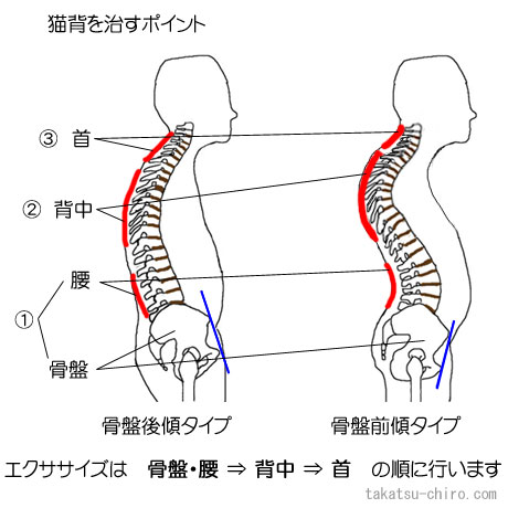 ストレートネック 前に出てしまった首を効果的に戻す方法教えます - YouTube
