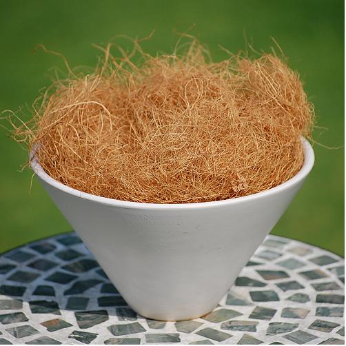 観葉植物に最適なココヤシファイバーの使い方とデメリットを徹底解説 - PLANT LOUNGE ～ 観葉植物の部屋