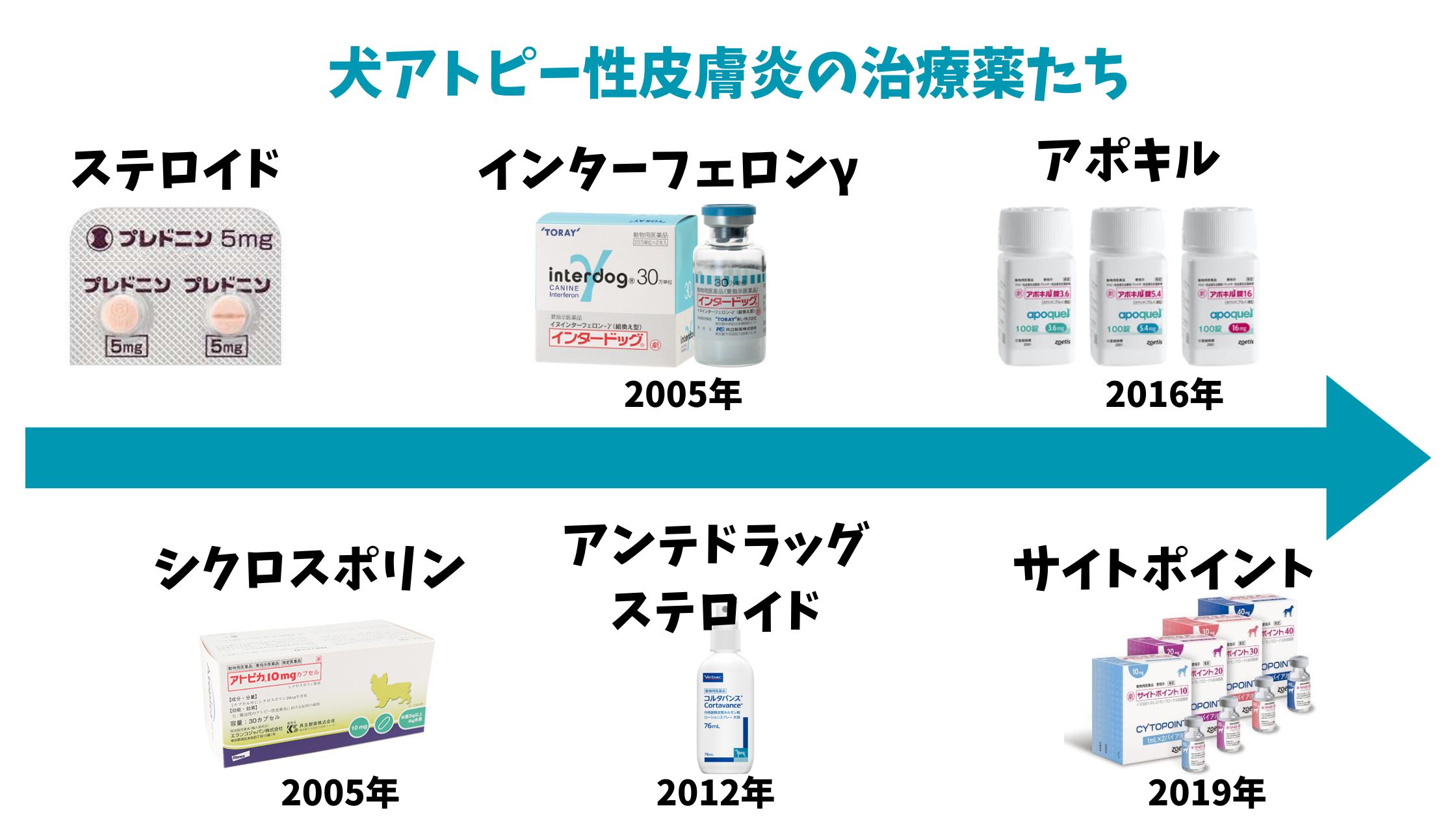 アポキル錠通販正規品犬のアトピー・アレルギー性皮膚炎の痒みに
