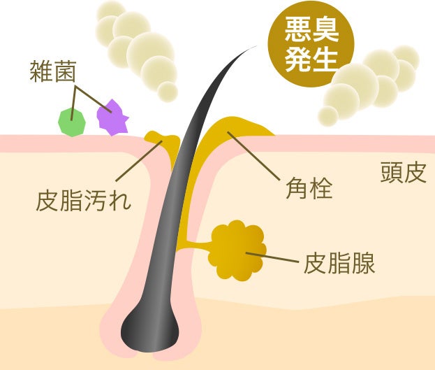 オイルで頭皮ケア！乾燥季節のシャンプー法