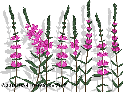 萩 ハギ の花言葉 季節、英語e恋愛名言集