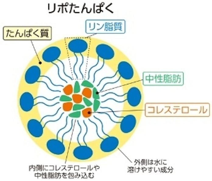 ✿うめしそ✿ on X: 