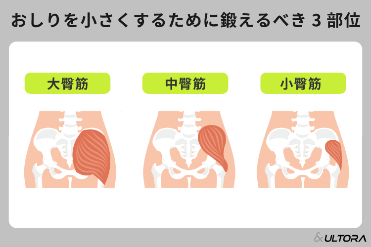 太もも痩せするには？医師が明かす、効率よく太ももを細くする方法美容知識コラムアラガン・エステティックス・ビューティ