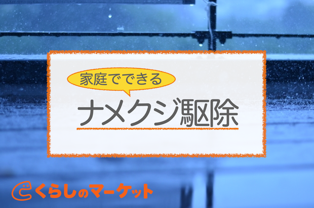 石灰よりも3倍お得！卵の殻を畑に撒いてみたら 吉栄 摩耶