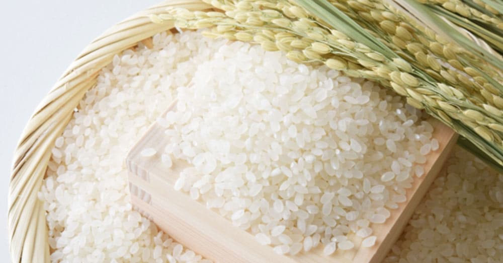 計量カップで本当に大丈夫？お米一合を正確に計量する方法。徳島の産直市 喜多野安心市 の２代目が伝えたい！やさいの話とか、農業の話とか