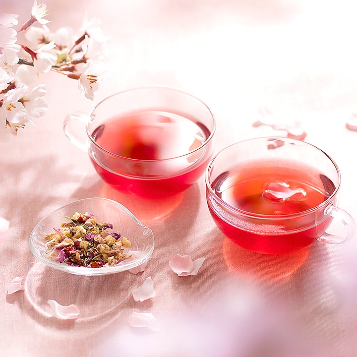 モグラ対策園芸日記byはな豆みんなの趣味の園芸1346760