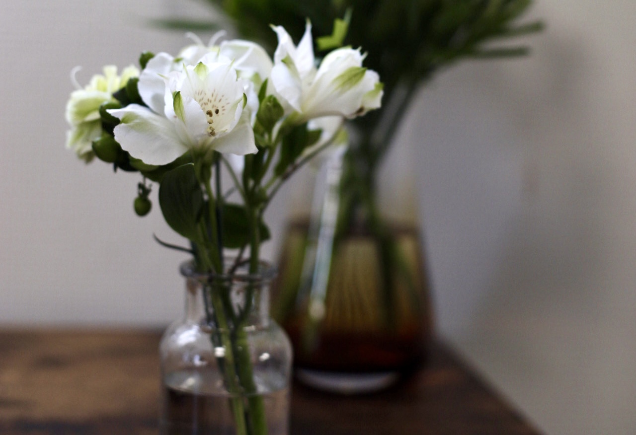 お花の定期便bloomee ブルーミー SNS口コミ、評判は本当？使用レビューも紹介 – お花生活