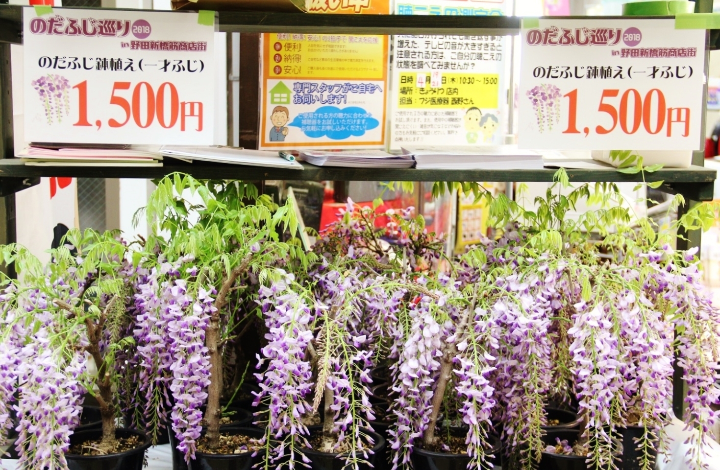 連休中の諸園芸交換会の準備和歌蘭さんぺいの独り言