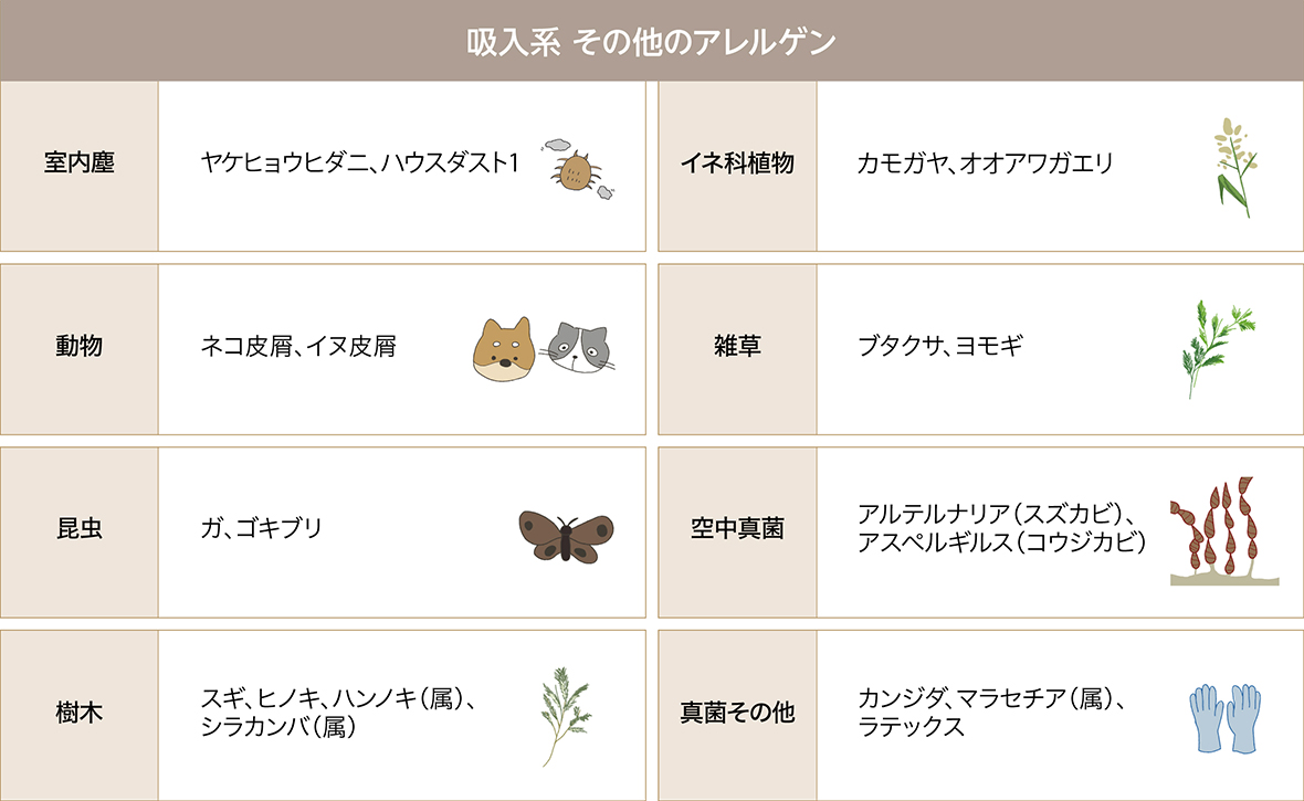 アレルギー 3回目の検査結果Photo Life in Toyama