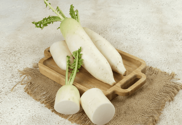 ガーデニングQ＆Aアースガーデン ～園芸用品～アース製薬株式会社