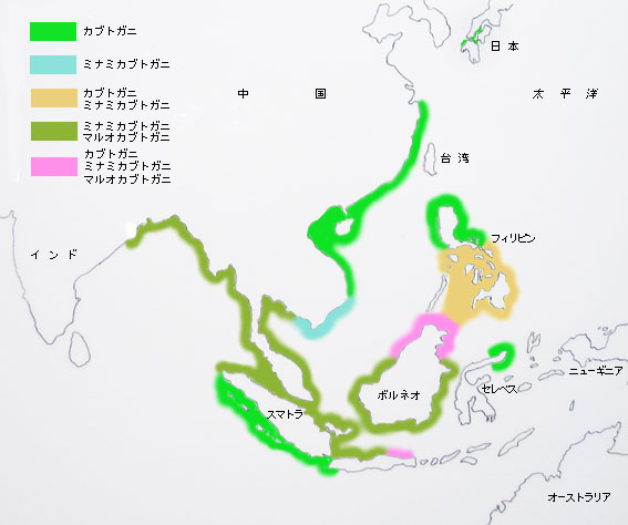 1リットルで250万円、カブトガニの「青い血液」求めた乱獲止まらず なぜ？ニューズウィーク日本版 オフィシャルサイト