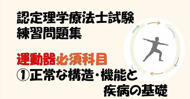 Visual Anatomy 視覚解剖学