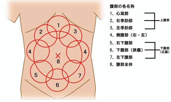 人気漫画家・崎田ミナさんが描く「腸ほぐし」のやり方 お腹すっきり＆冷えをリセット1 1介護ポストセブン