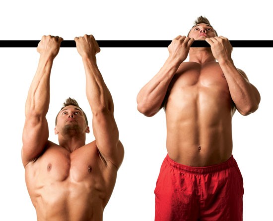 腕橈骨筋」前腕と上腕にかけて位置する腕橈骨筋を鍛えて太くて逞しい腕へ！STEADY Magazine