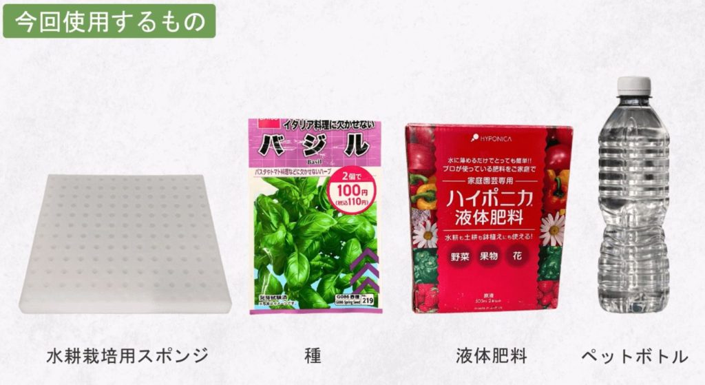 バジルの水耕栽培冬にできる？ペットボトル容器の作り方や注意点🍀GreenSnap グリーンスナップ