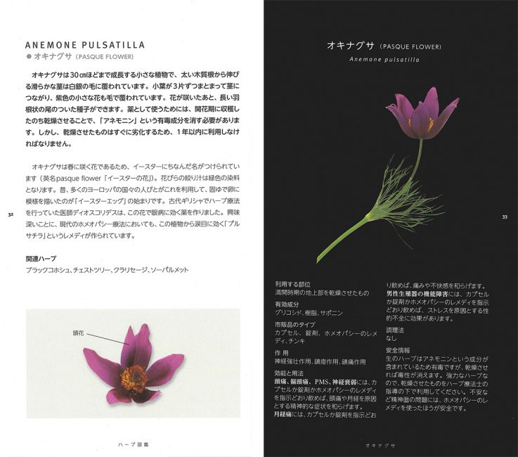 書籍『ハーブ図鑑』ガイアブックス Gaiabooks