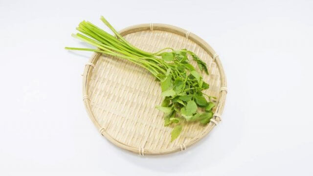 長く、白く、みずみずしく。三関せりの根っ子にあるもの。なんも大学