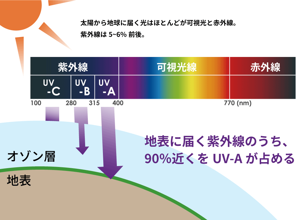 夏本番前の今がカギ！紫外線レスキューケア - MYTREX JOURNAL