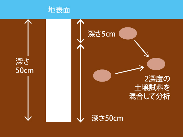 肌のために「皮膚」の構造を知ろう - J LINEお肌に優しい洗顔・化粧水・ジェル
