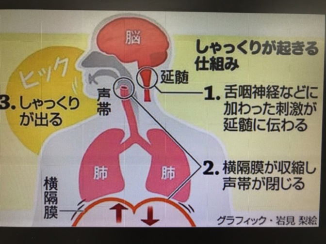 鍼灸師的観点からの「しゃっくりの止め方」やえの森治療院
