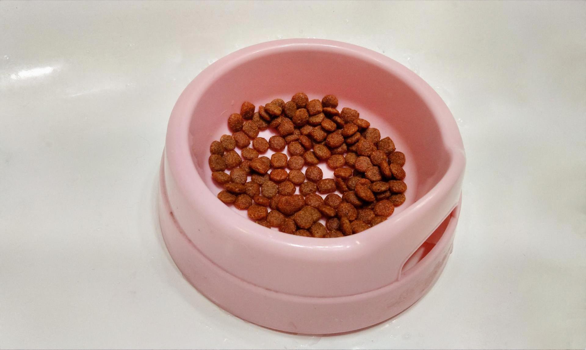 洗剤不要のペット用食器洗いニトリネット 公式家具・インテリア通販