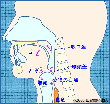 口腔がんの原因・症状について国立がん研究センタ