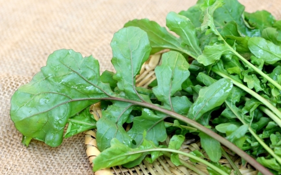 自家製穴あき青じそをおいしく食べる方法 - 空と花の色