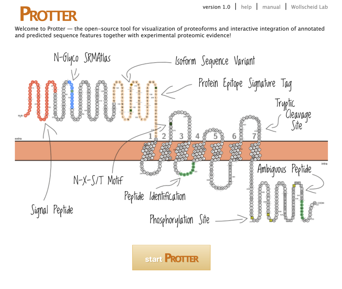 膜タンパク質の組み立てに思いがけない事実Nature ダイジェストNature Portfolio