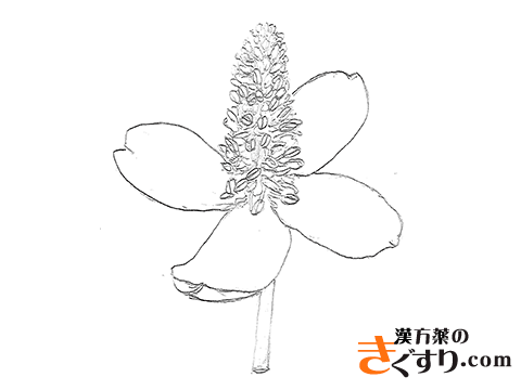 アルデヒド。化学式および分子モデルホルムアルデヒド、アセトアルデヒドおよびプロピオンアルデヒド ストックベクター ©avk97.yandex.by273401132