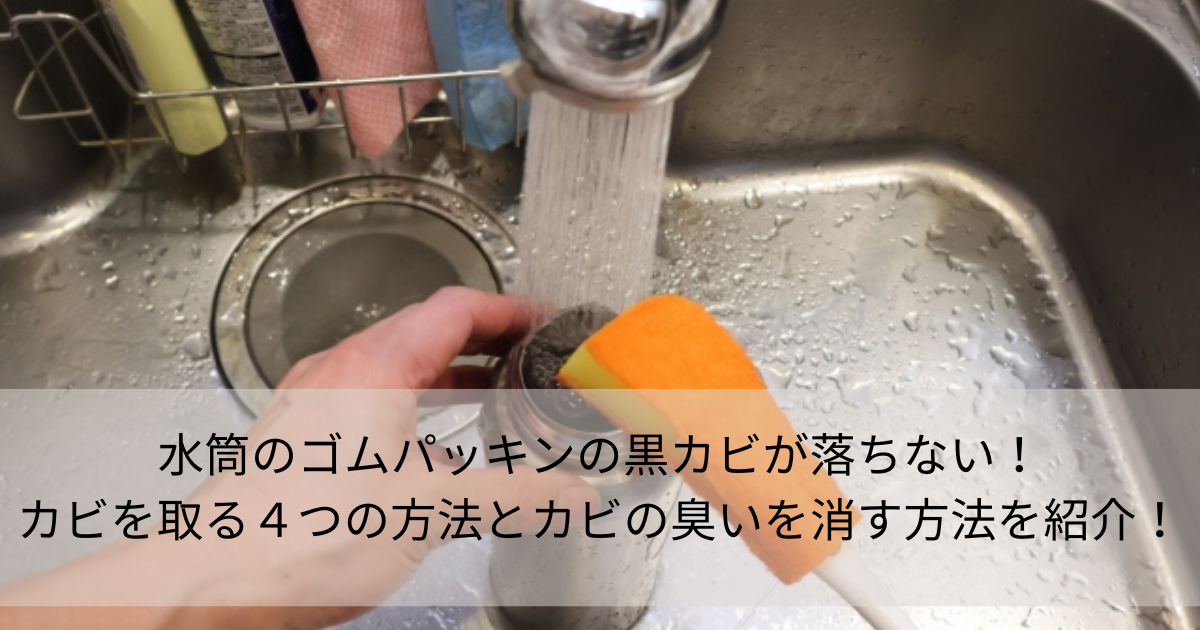 キッチンの黒カビ除去！排水口とゴムパッキンを清潔に保つ方法とは！レスキューラボ