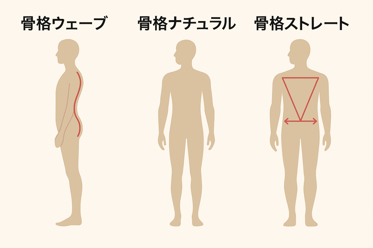 ヒップアップに効果的な筋トレメニュー 高く丸いヒップラインを自宅で作る方法部位ごとのトレーニング方法と筋トレのポイントSIXPAD−シックスパッド公式サイト