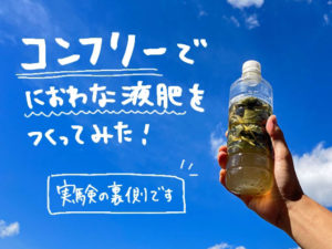 野草コンフリーが使える！ 自称・コンフリーの広報担当者 簡単液肥、マルチ、堆肥、苗販売も - 現代農業WEB