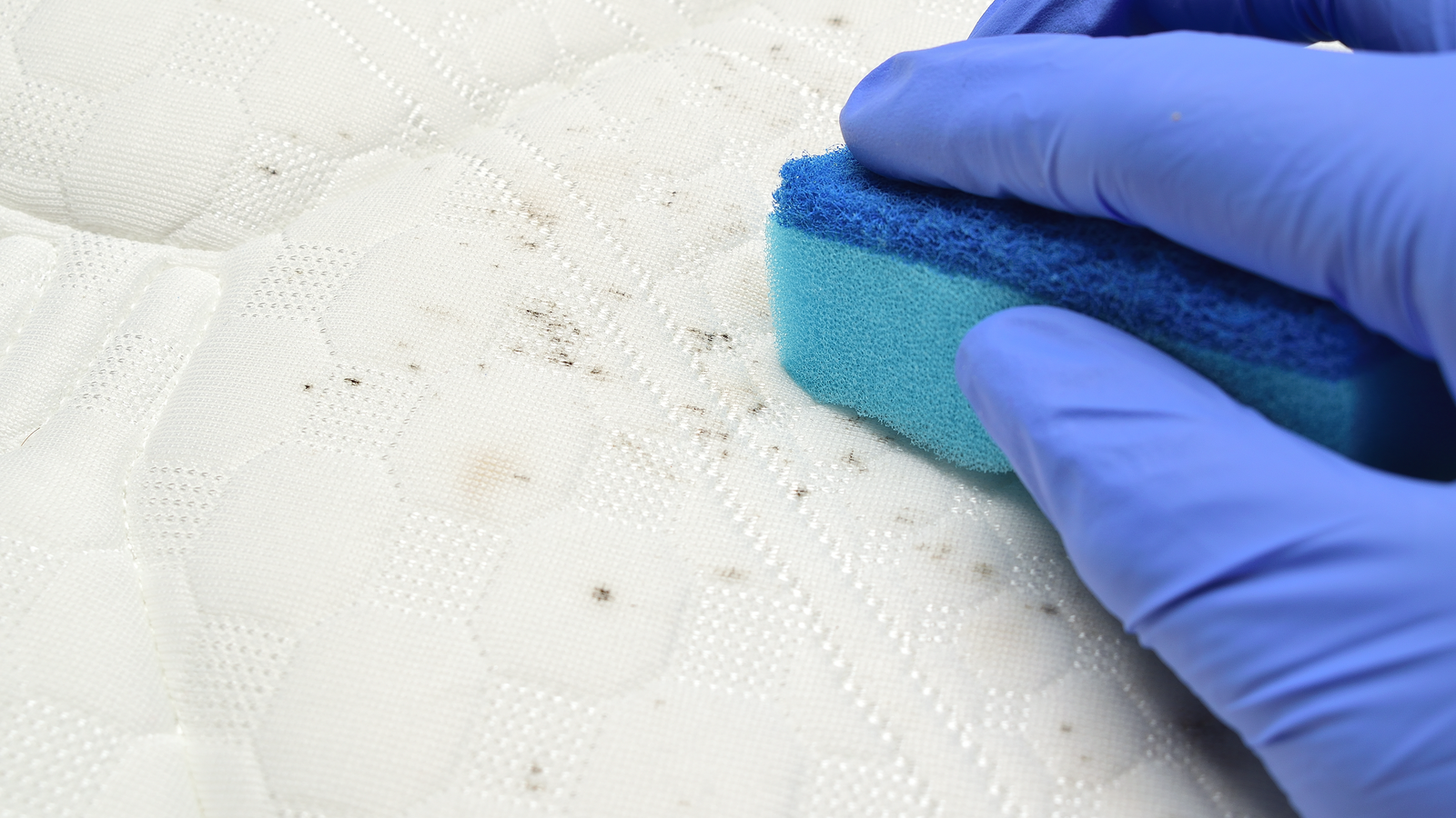 ホテルや介護にも マットレスのカビ対策なら光触媒コーティング光触媒の株式会社イリス