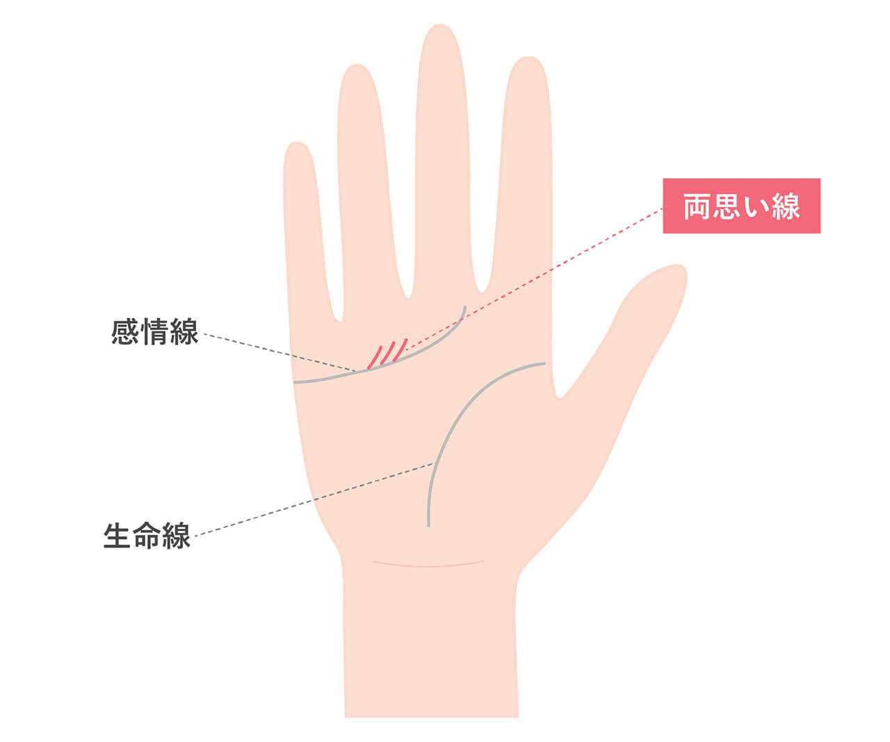 コミュ力高い人に出る「寵愛線」はどれ？ 4年待ちの占い師が教える最強手相占い 『未来を変えるイルミナフォーチュン手相』BOOKウォッチ