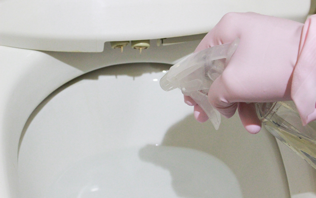 メール便OK 無水クエン酸 950ｇ 高純度99.5%以上コトブキ物産