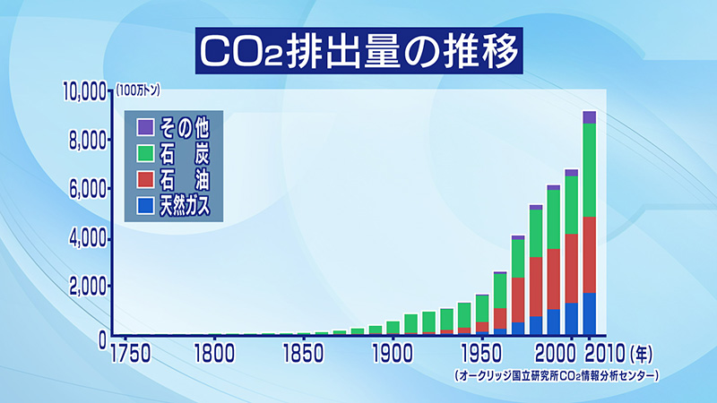 平成22年版 環境・循環型社会・生物多様性白書