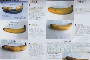 バナナを使った紫外線を通さないものを調べる自由研究動機・やり方・考察・まとめ方 - 自由研究テーマとまとめ方