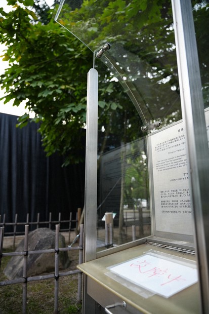 ３７－４、被爆したアオギリ０１－１２