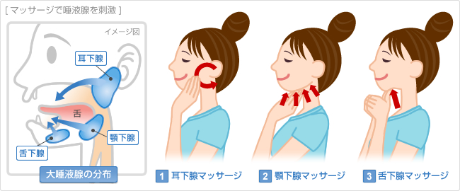 唾液腺マッサージイラスト - No: 26122964無料イラスト・フリー素材なら「イラストAC」